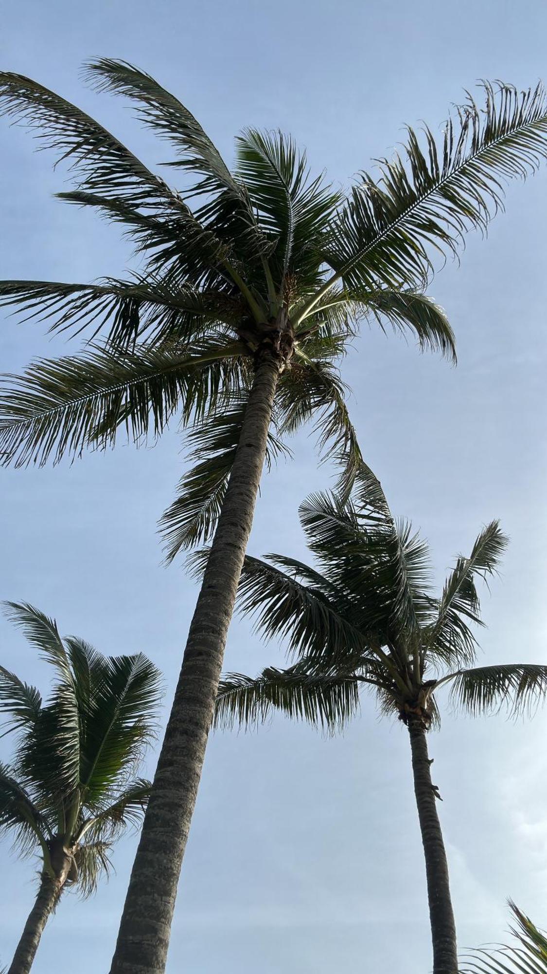 Poya Villa アハンガマ エクステリア 写真